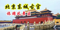 爆乳深喉大屌中国北京-东城古宫旅游风景区